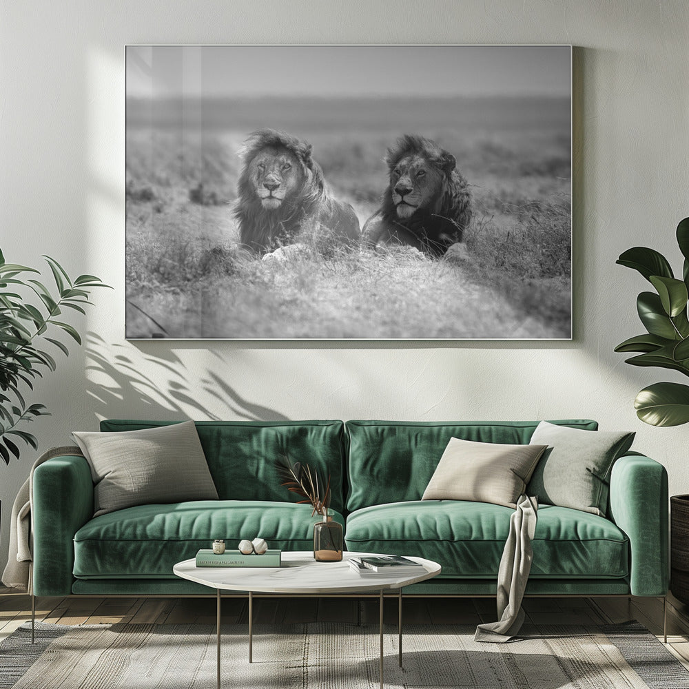 Wandbild Zwei Könige