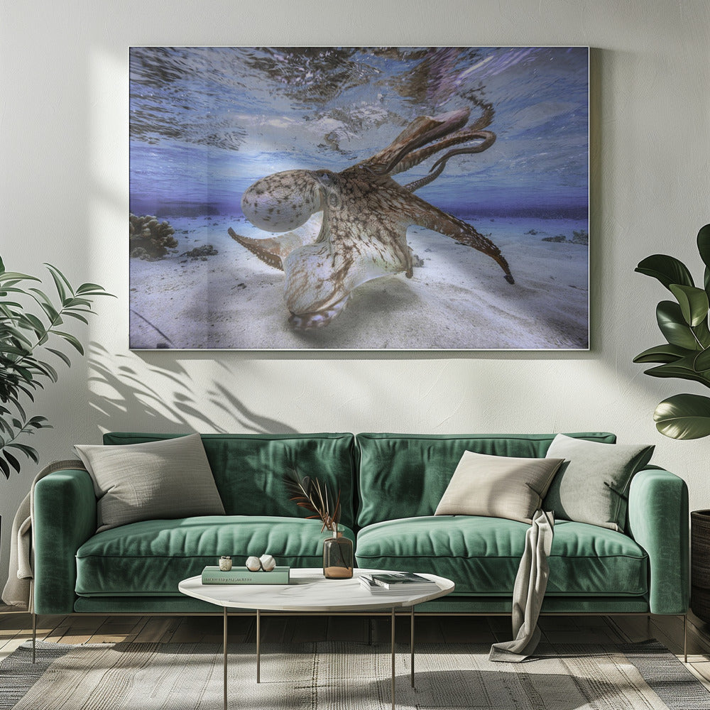 Wandbild Tanzender Krake