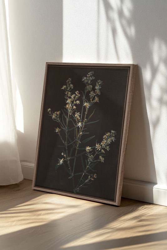 FLEUR D'ARGENT, Leinwandbild