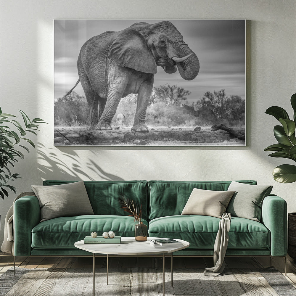 Wandbild Stehend Stolz. Elefant
