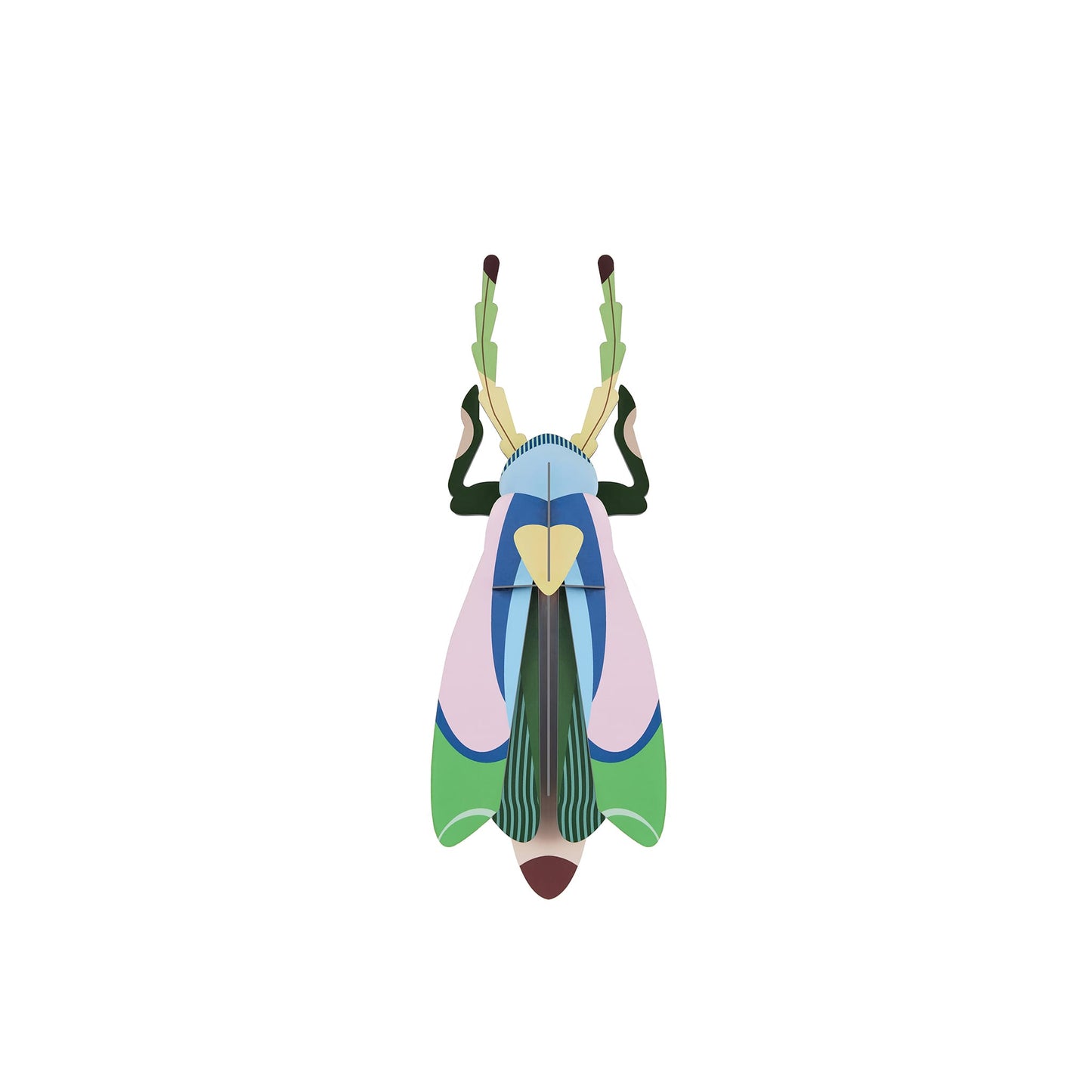 Sakura-Käfer