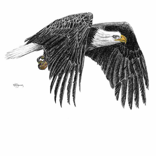 Bald Eagle - Animal Art Print