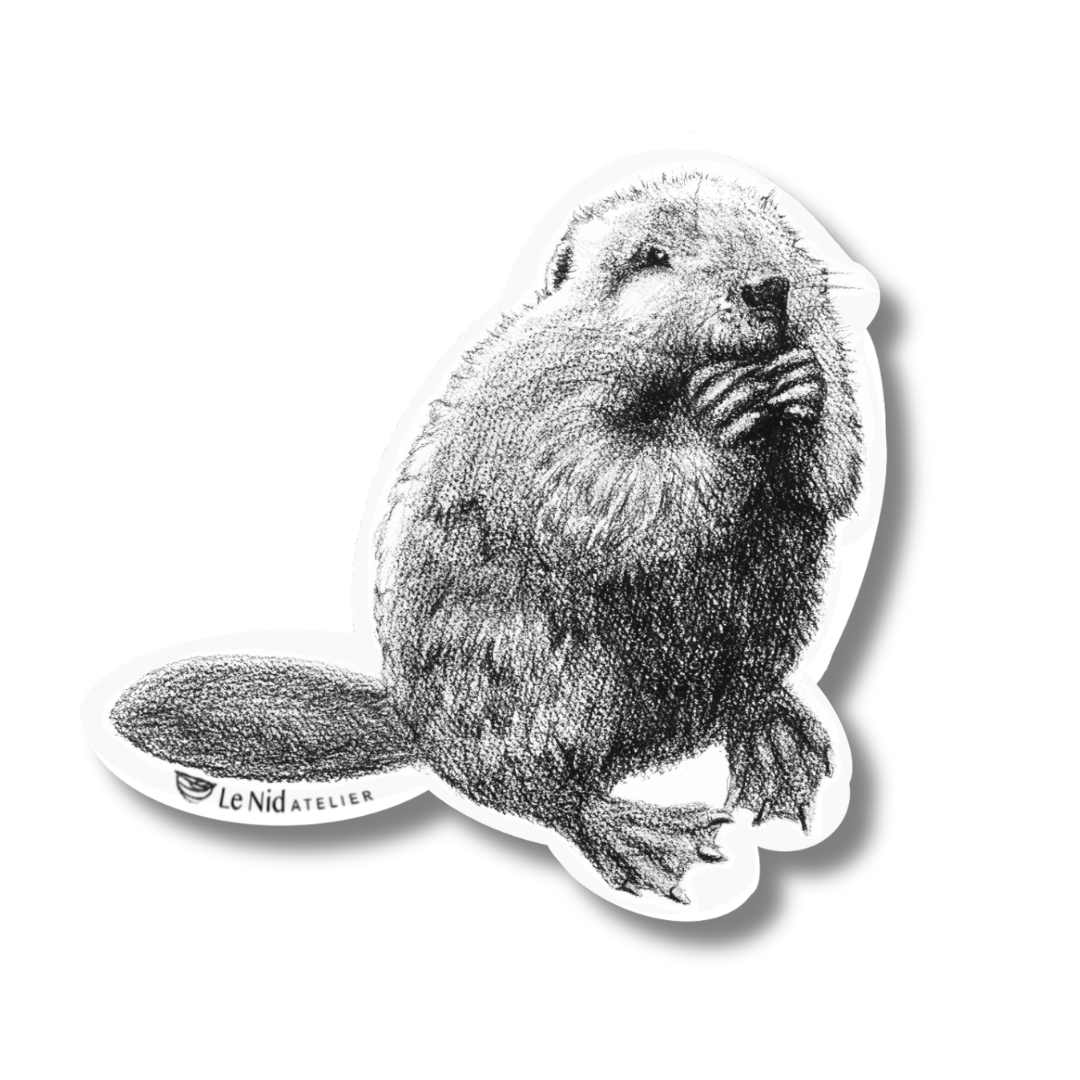 Biber-Magnet