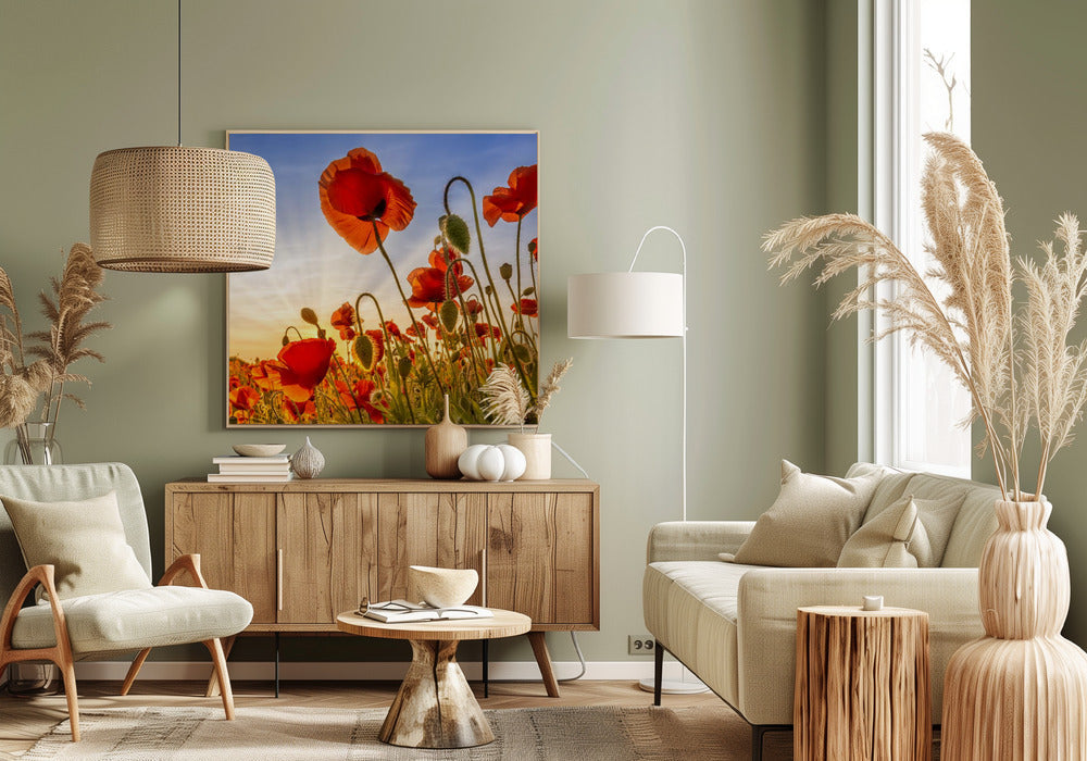 Wandbild Faszination Mohn