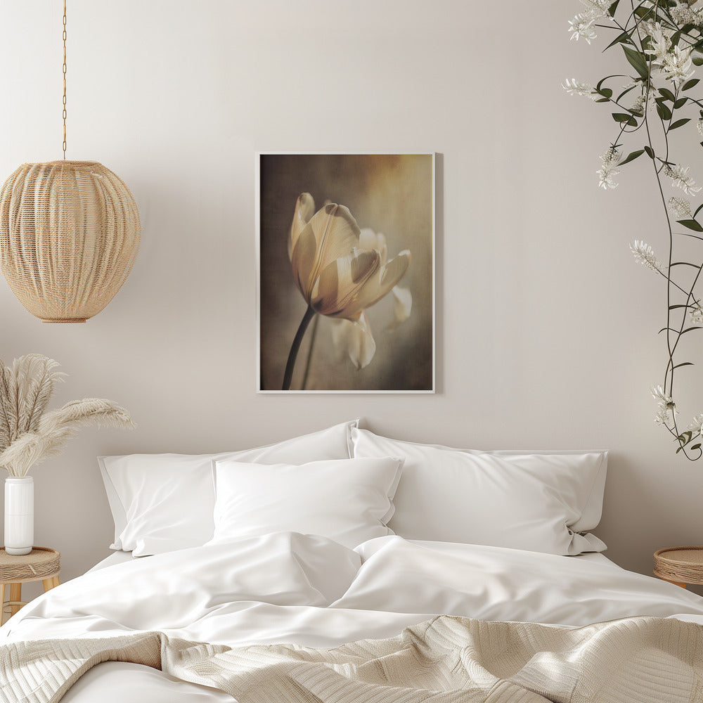 Wandbild Pastelltulpe