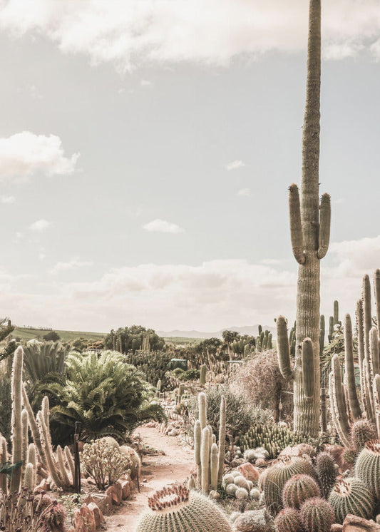 Wall art Cactus Farm