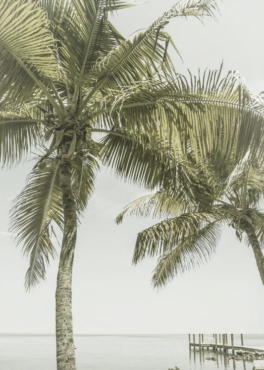 Wandbild FLORIDA Himmlischer Ort | Vintage