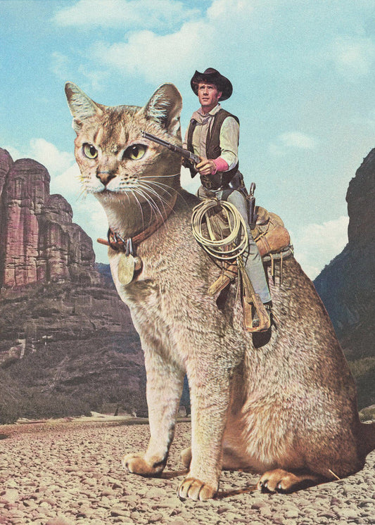 Wandbild Katze Lone Ranger