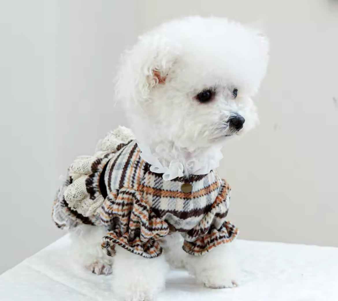 Alexis Dog Dress | Dog Dress for Everyday Wear