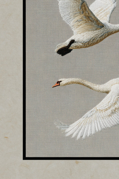 ENDLESS FLIGHT, VINTAGE SILVER FRAME