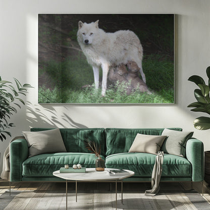 Wandbild Arktische Wölfe – Remus und Romulus