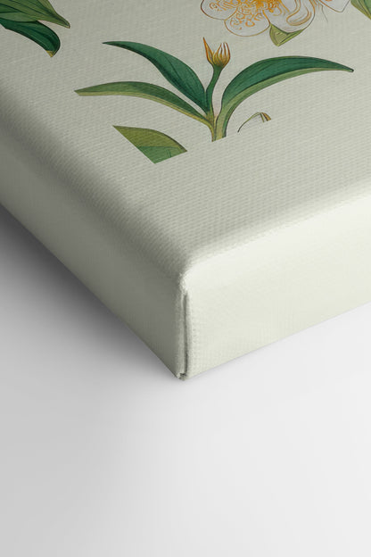 FRUIT PRINT, Kunstdruck auf gespannter Leinwand