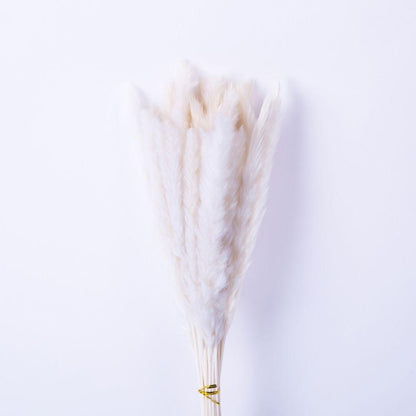 Beige Pampas Bouquet 26'' (Set Of 30)