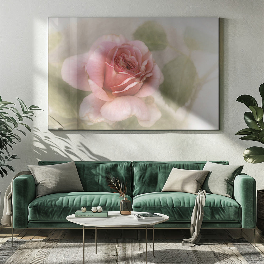 Wandbild glatte Rose