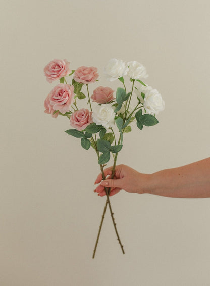 Kleiner Rosenstiel