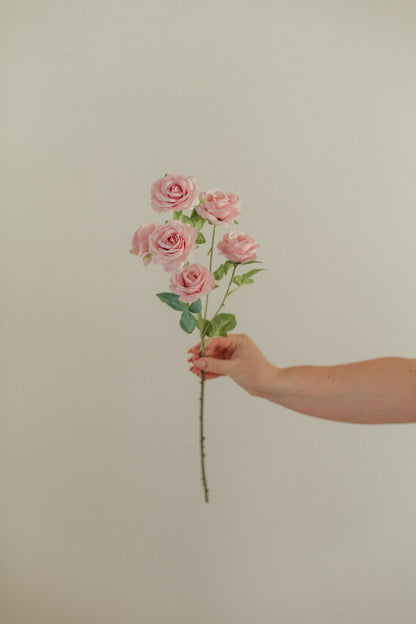 Kleiner Rosenstiel