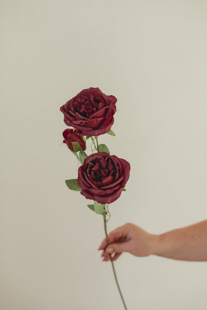 Großer Rosenstiel