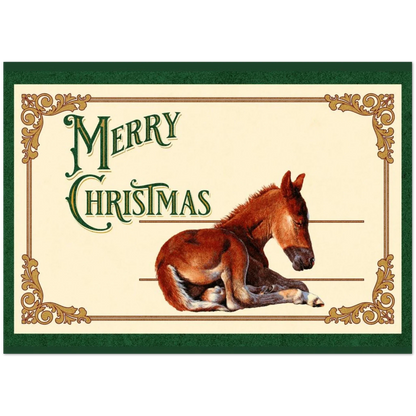 Sleepy Foal Christmas Card – Premium Pack of 10 Greeting Cards