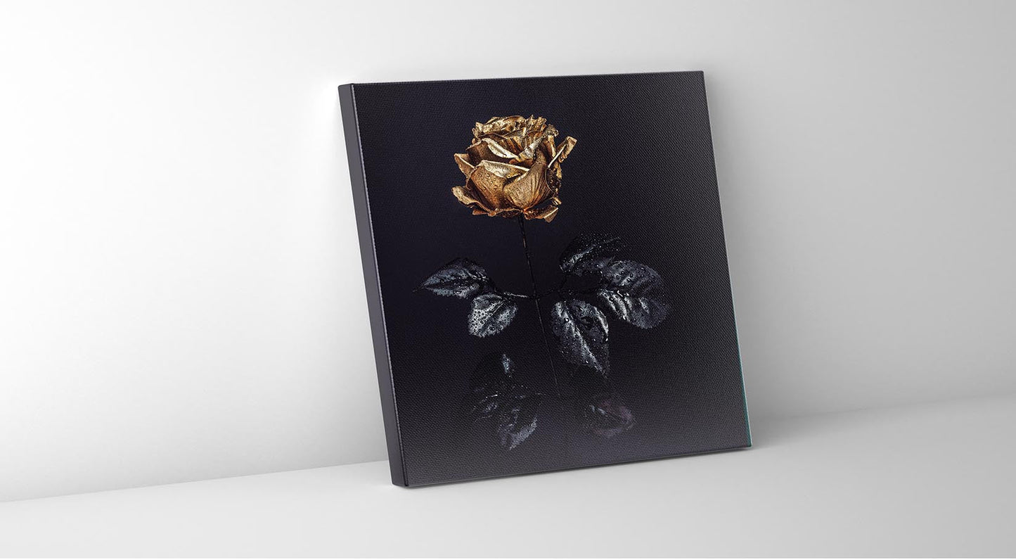 Wandkunst-Goldene Rose -Leinwandbild