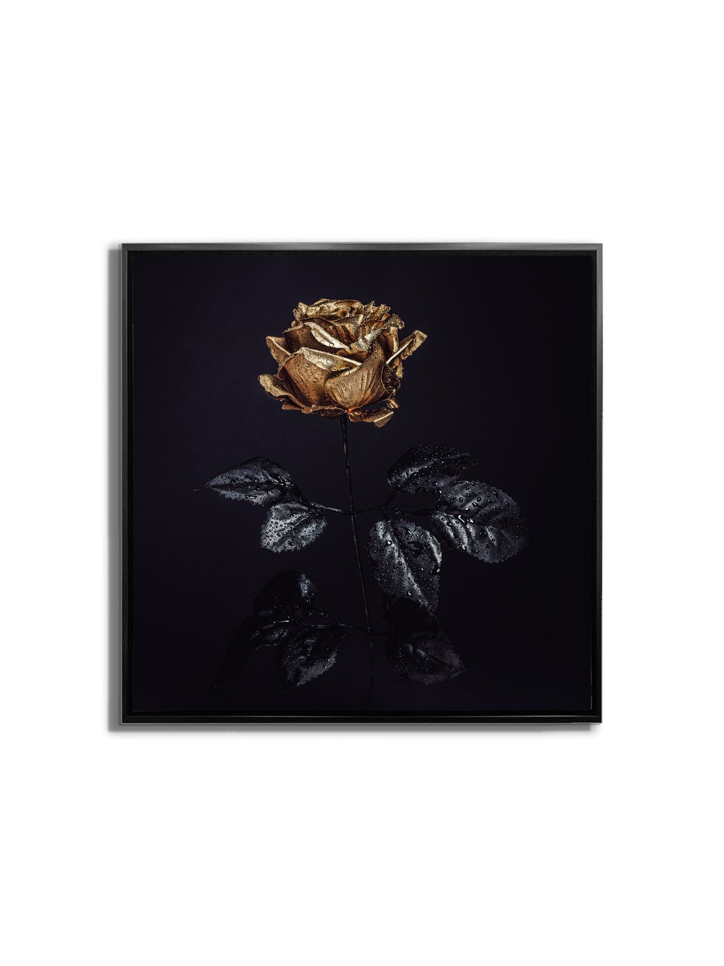 Wandkunst-Goldene Rose -Leinwandbild