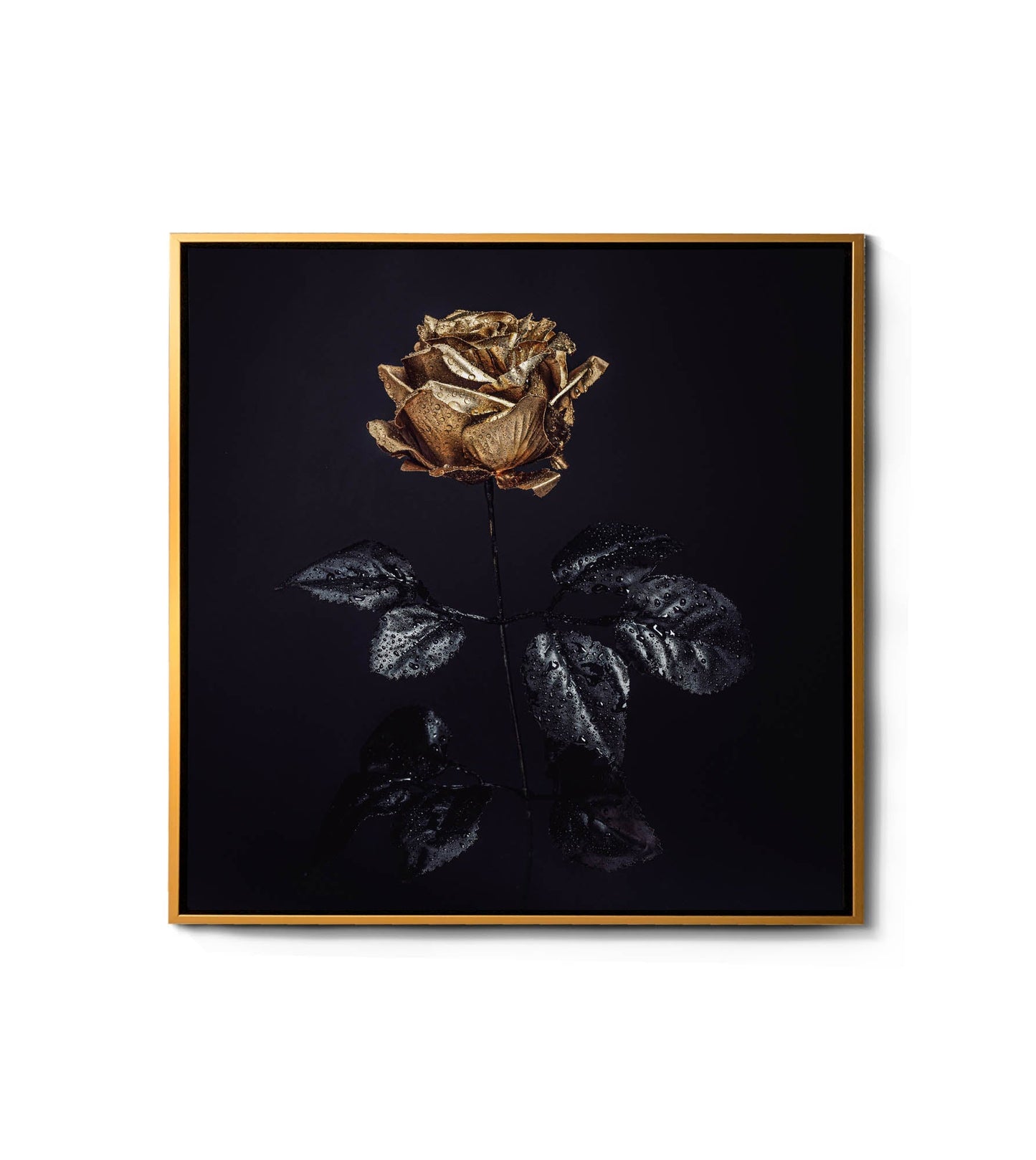 Wandkunst-Goldene Rose -Leinwandbild