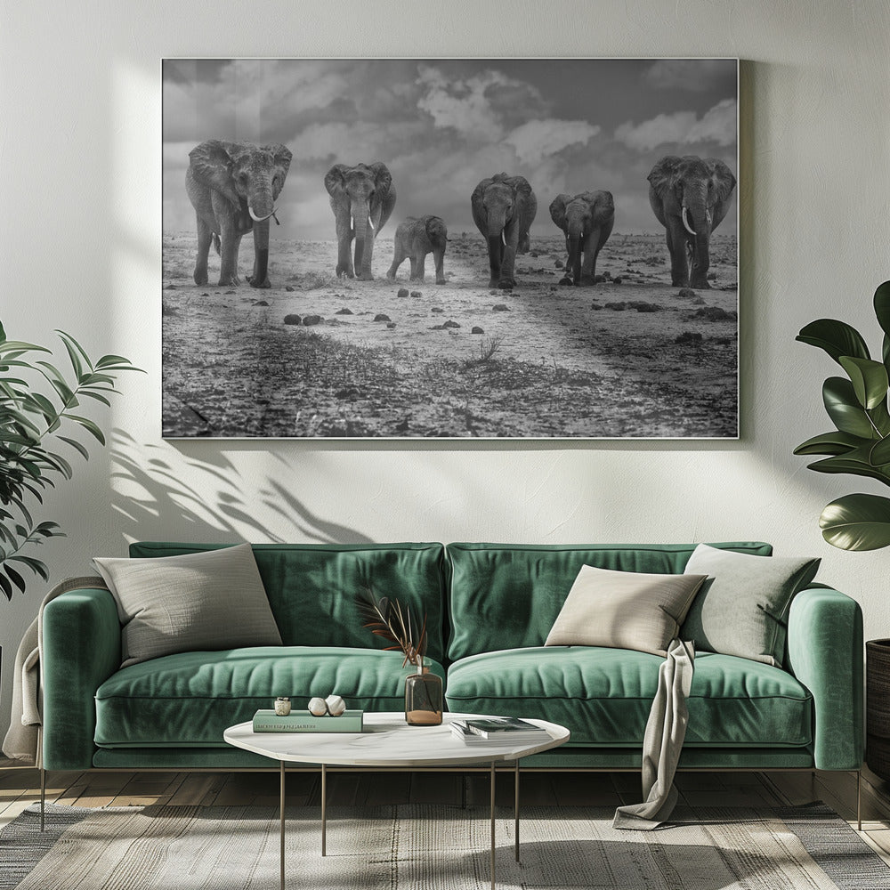 Wandkunst Große Familie. Elefanten