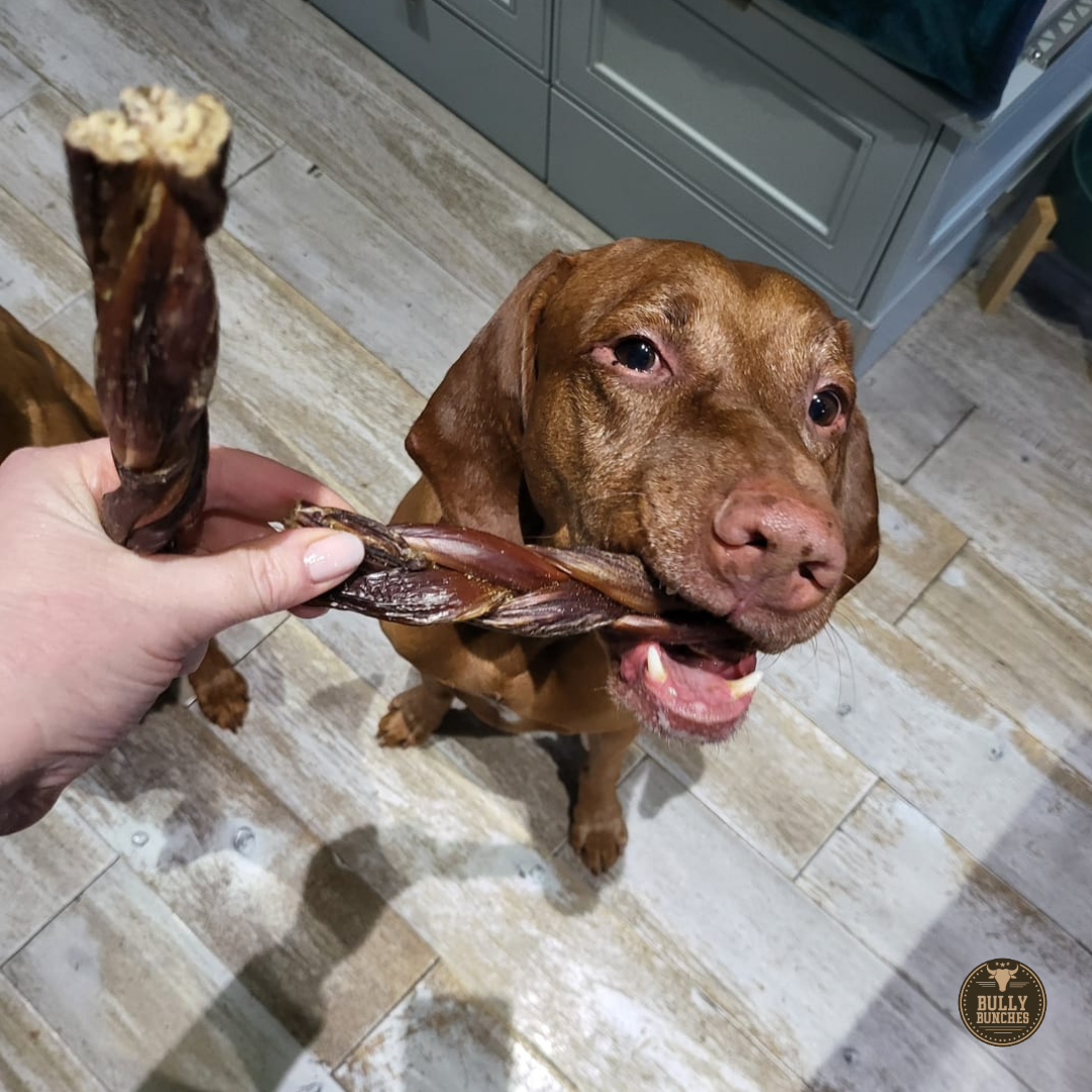 6 Inch Braided Jerky Stick