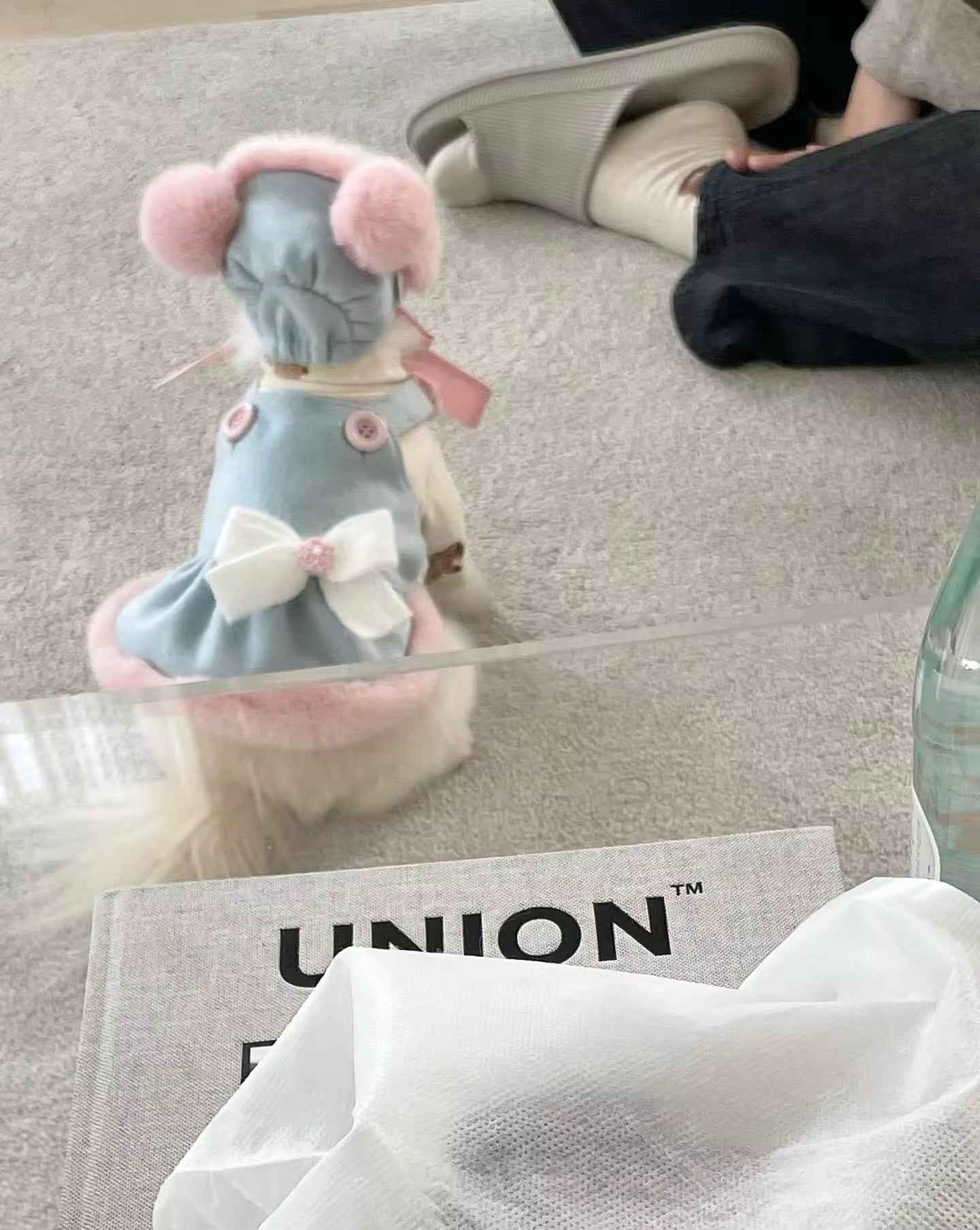 Baby Blue Easter Bunny Outfit – Easter Dog Hat Set