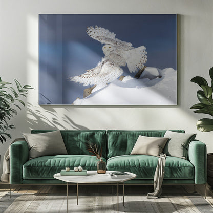 Wandbild Schnee-Eule im Flug