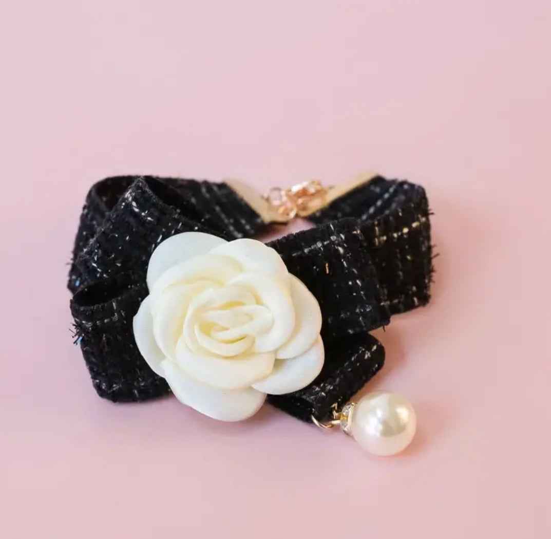 Coco Chewnel Dog Collar | Dog Collar