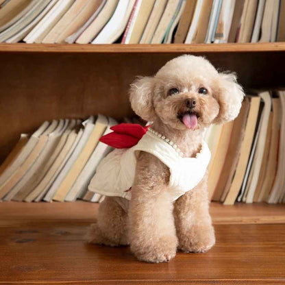 Red Bow Dress