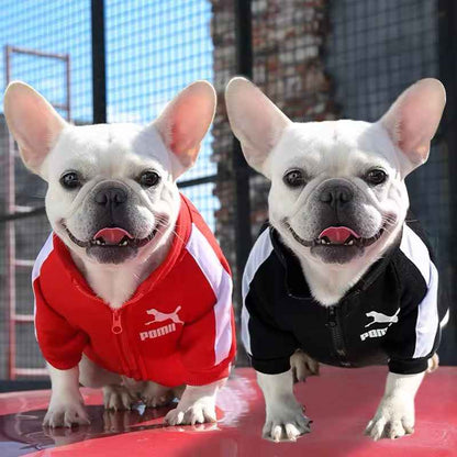 Poma Dog Jacket | Dog Jacket for Cold Weather
