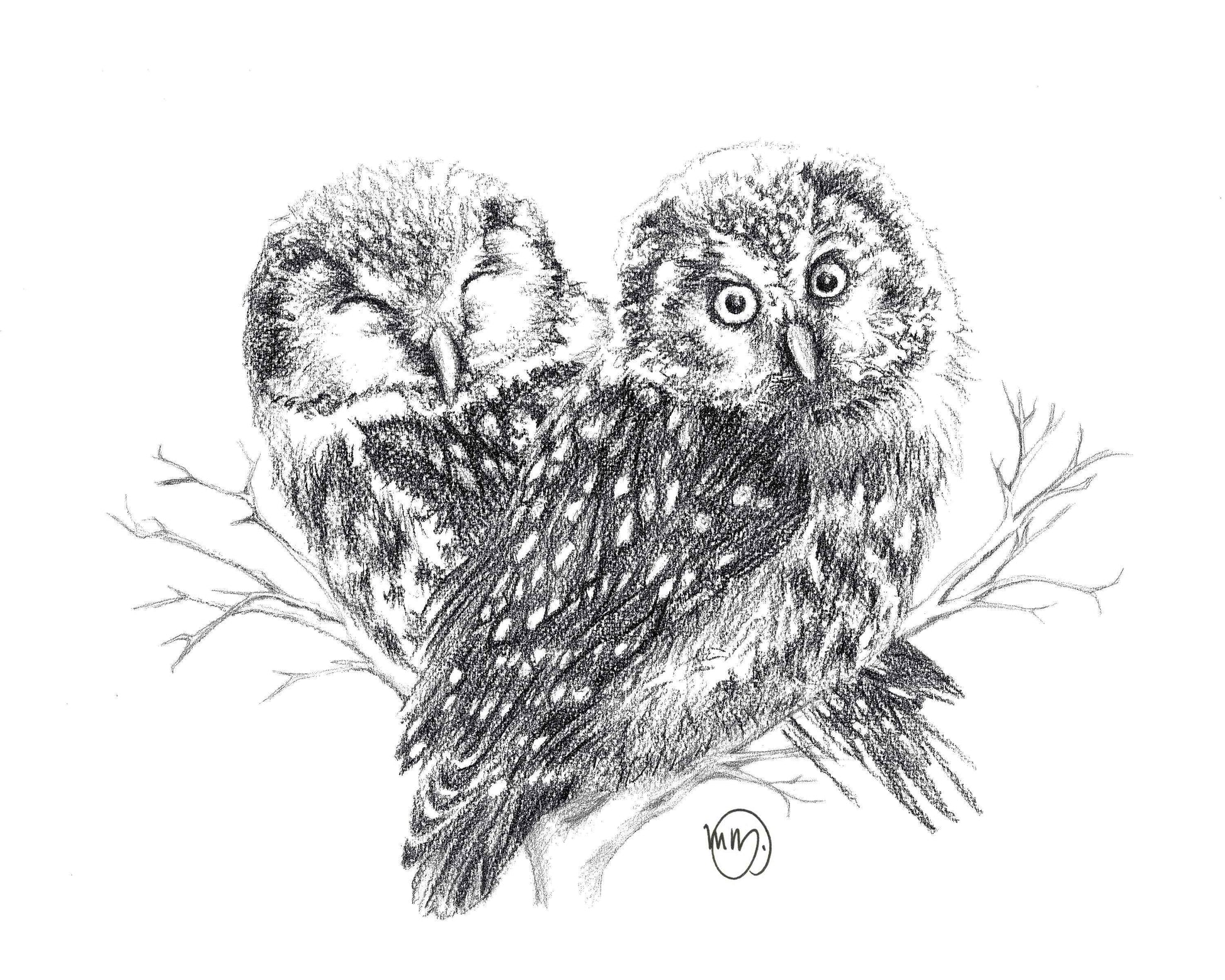 Owls in Love Greeting Card