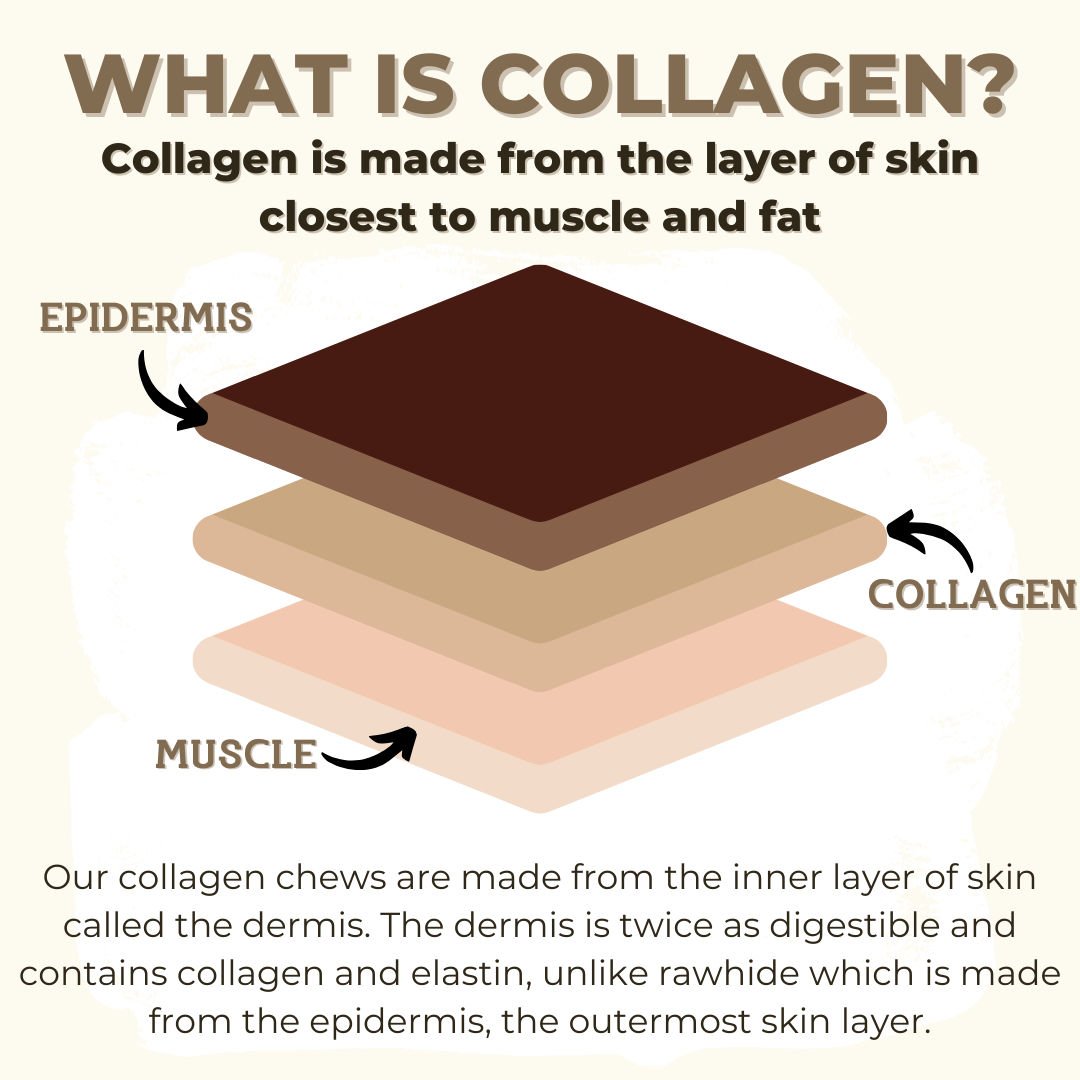 5-6 Inch Braided Collagen Stick