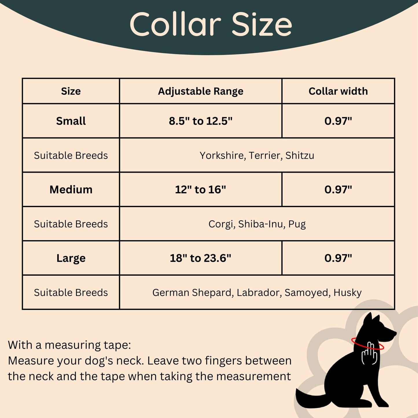 Dog Walk Combo: Collar, Leash, Dog Tag Set