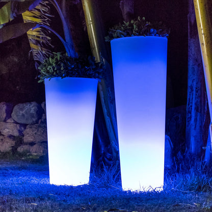 Ficus<br> Solar &amp; wiederaufladbar