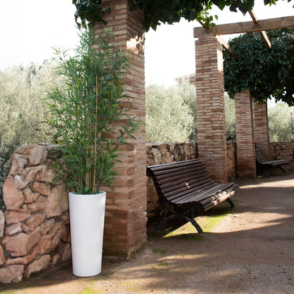 Ficus<br> Solar &amp; wiederaufladbar