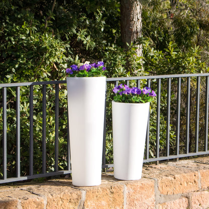 Ficus<br> Solar &amp; wiederaufladbar
