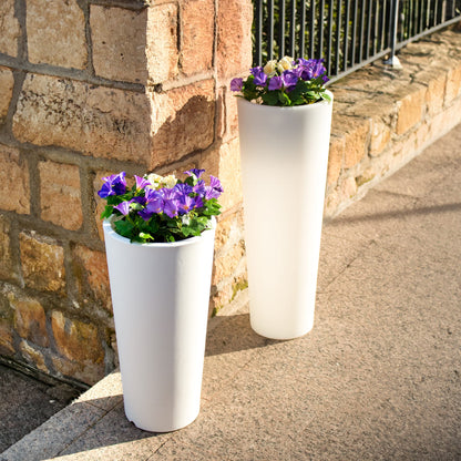 Ficus<br> Solar &amp; wiederaufladbar
