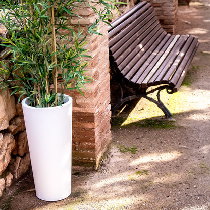 Ficus<br> Solar &amp; wiederaufladbar