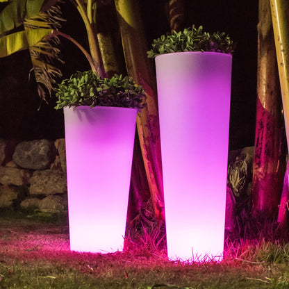 Ficus<br> Solar &amp; wiederaufladbar