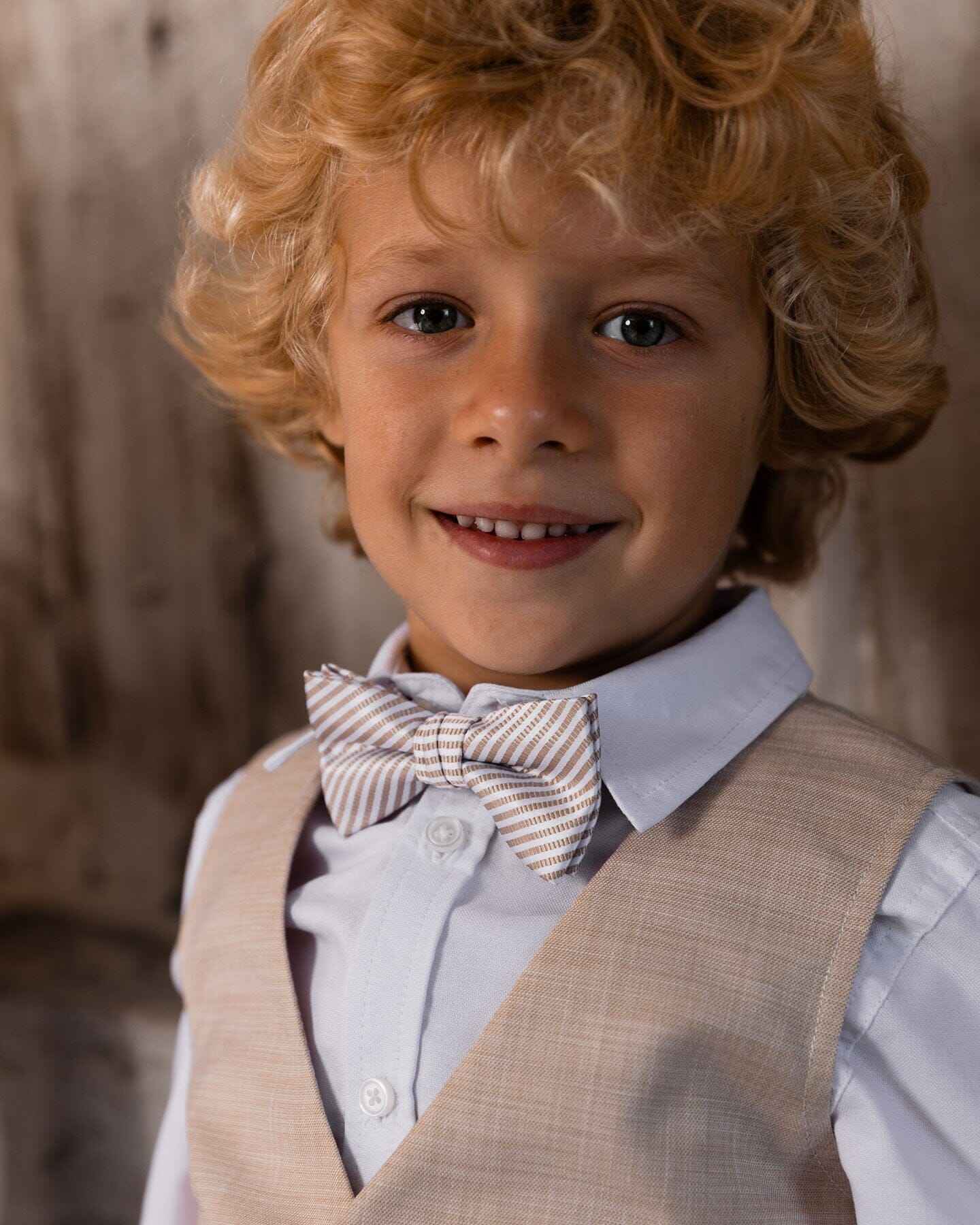 Bow Tie Light Taupe