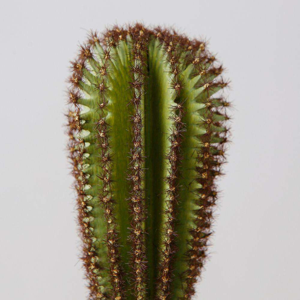 Goza Artificial Cactus Tree Potted Plant 9"
