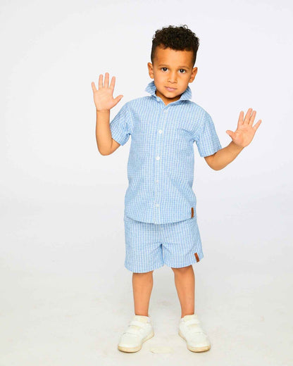 Printed Chambray Shorts Blue Denim Stripes
