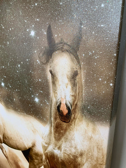 Genesis eines Einhorns Fein-Pferd Leinwand-Wildtierkunst-RGB Lack