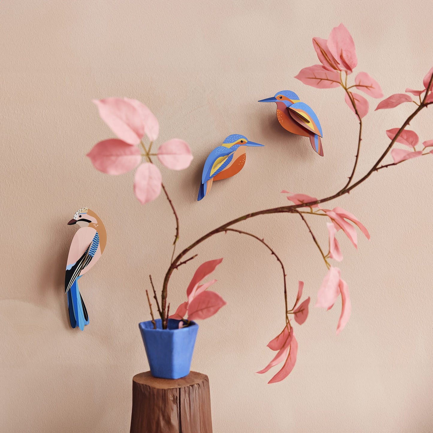 Kingfishers