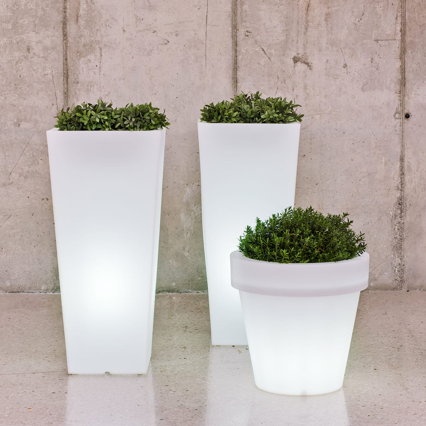 Magnolia<br> Solar &amp; Wiederaufladbar