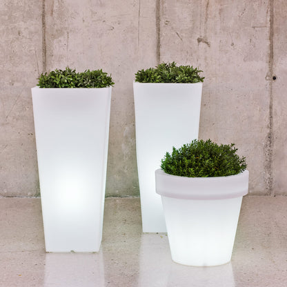 Magnolia<br> Solar &amp; Wiederaufladbar