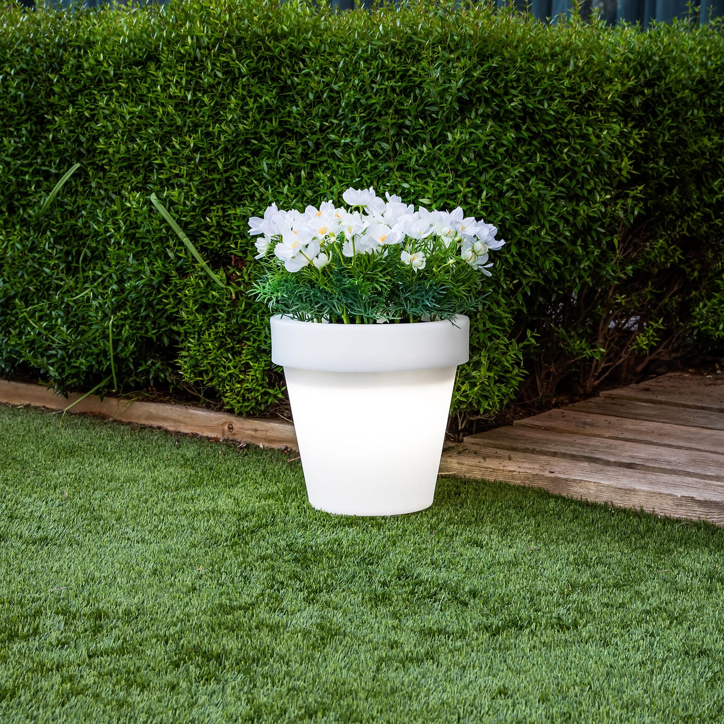 Magnolia<br> Solar &amp; Wiederaufladbar
