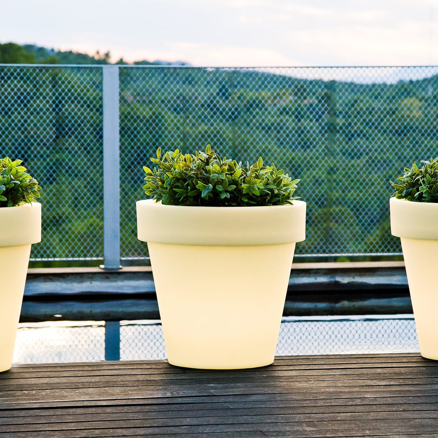 Magnolia<br> Solar &amp; Wiederaufladbar